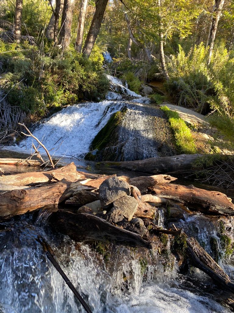 Agua cristalina en un entorno natural del Parque Nacional Villarrica.
