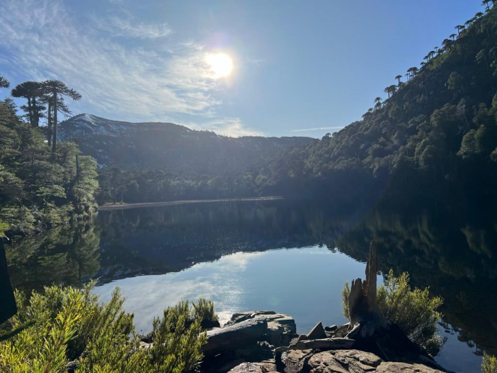 Laguna escondida entre cerros y bosques