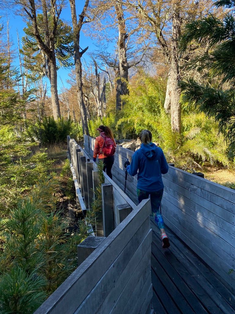 Parque Nacional Villarrica