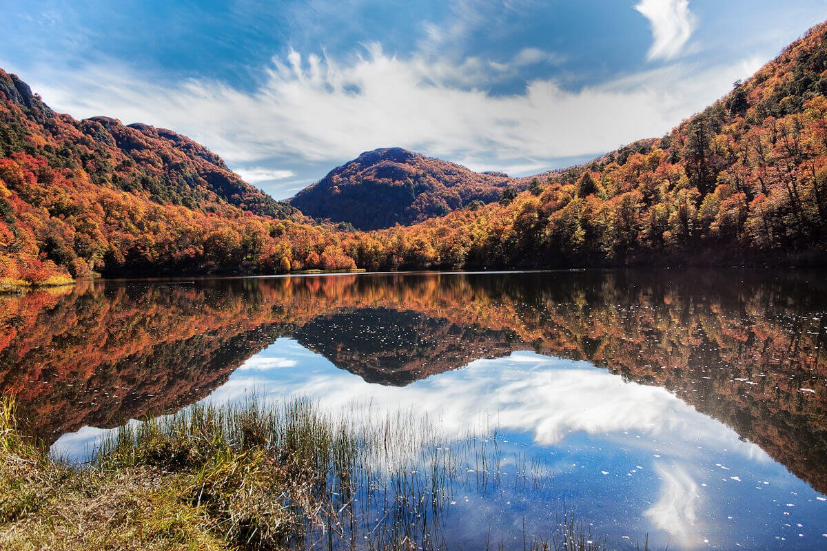 Estugira.com Giras de Estudio