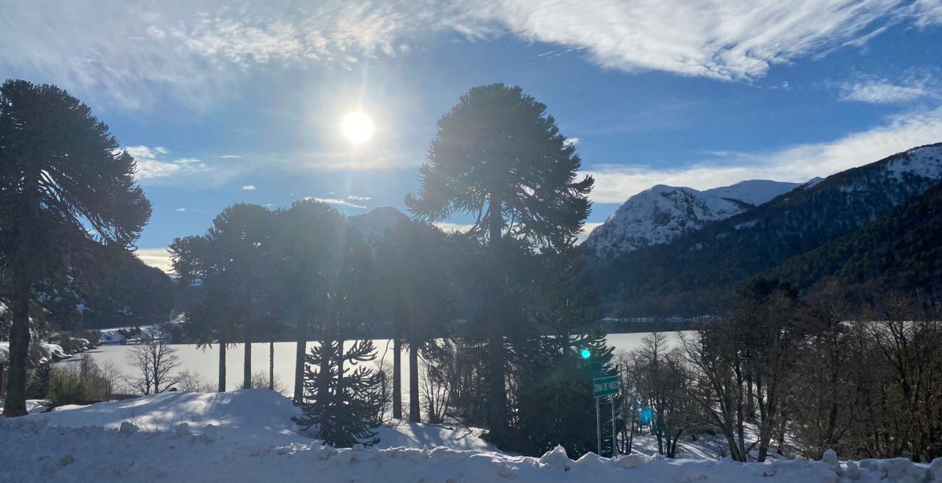 Estugira.com Giras de Estudio